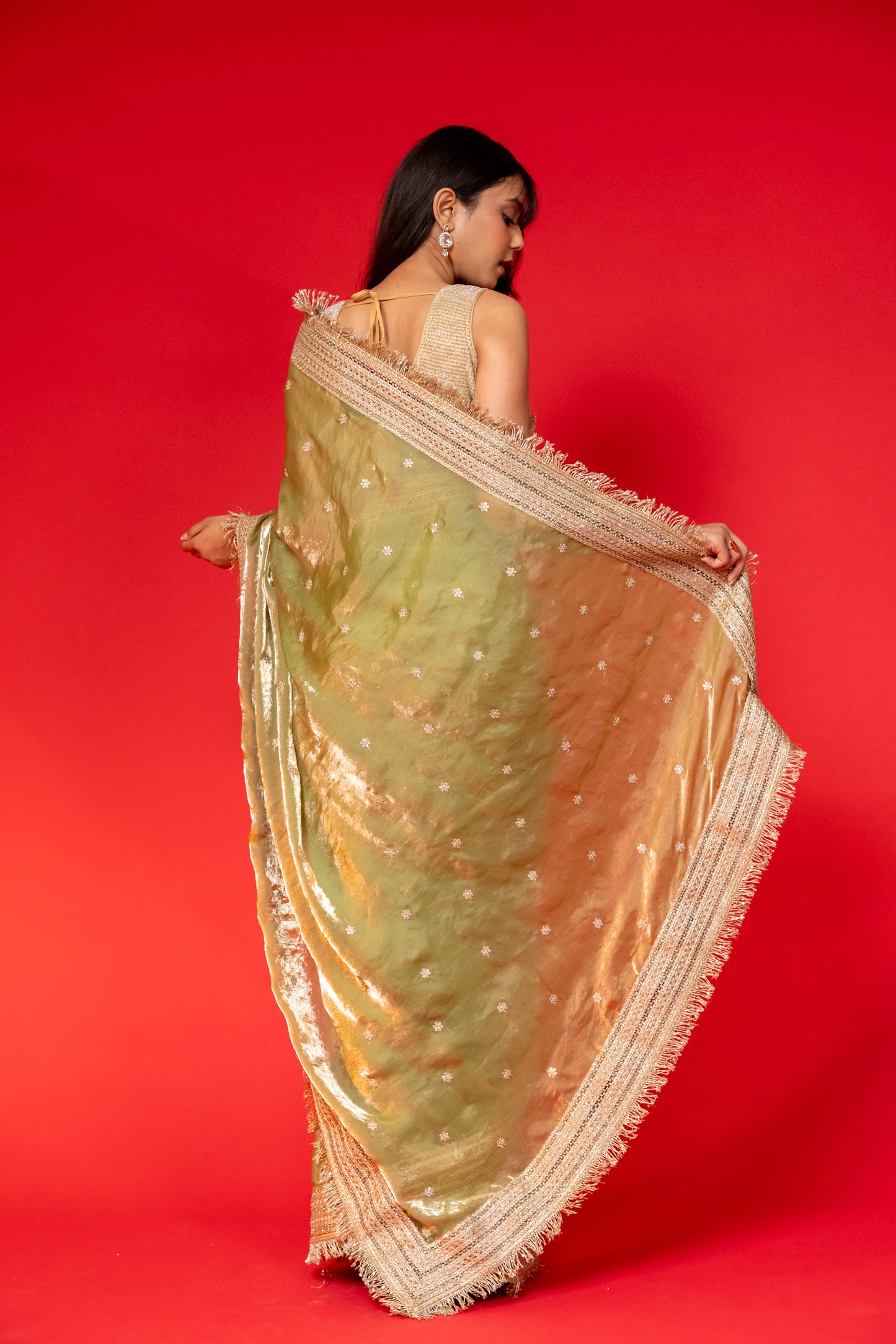 Olive Gleam Tissue Silk Saree with Embroidered Border