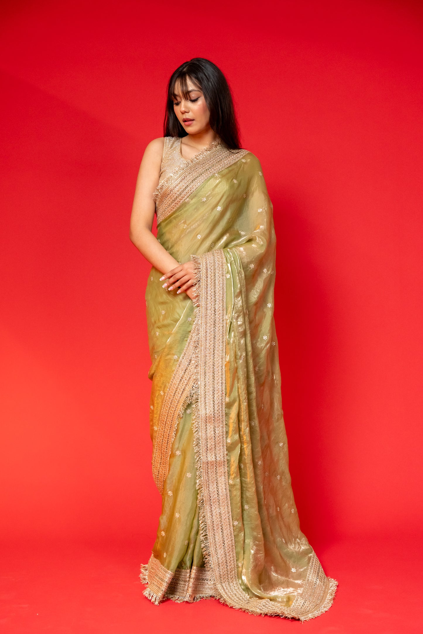 Olive Gleam Tissue Silk Saree with Embroidered Border