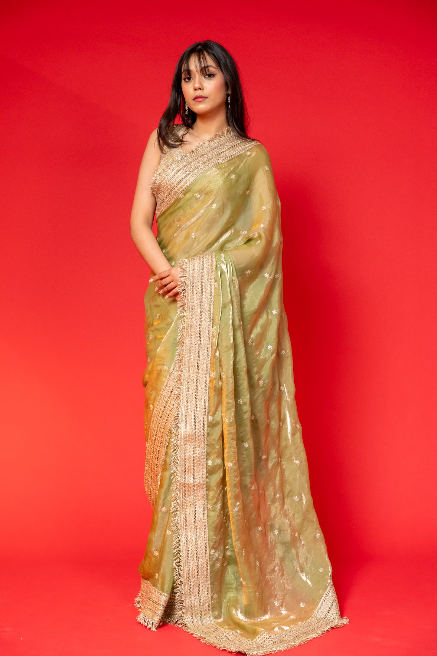 Olive Gleam Tissue Silk Saree with Embroidered Border