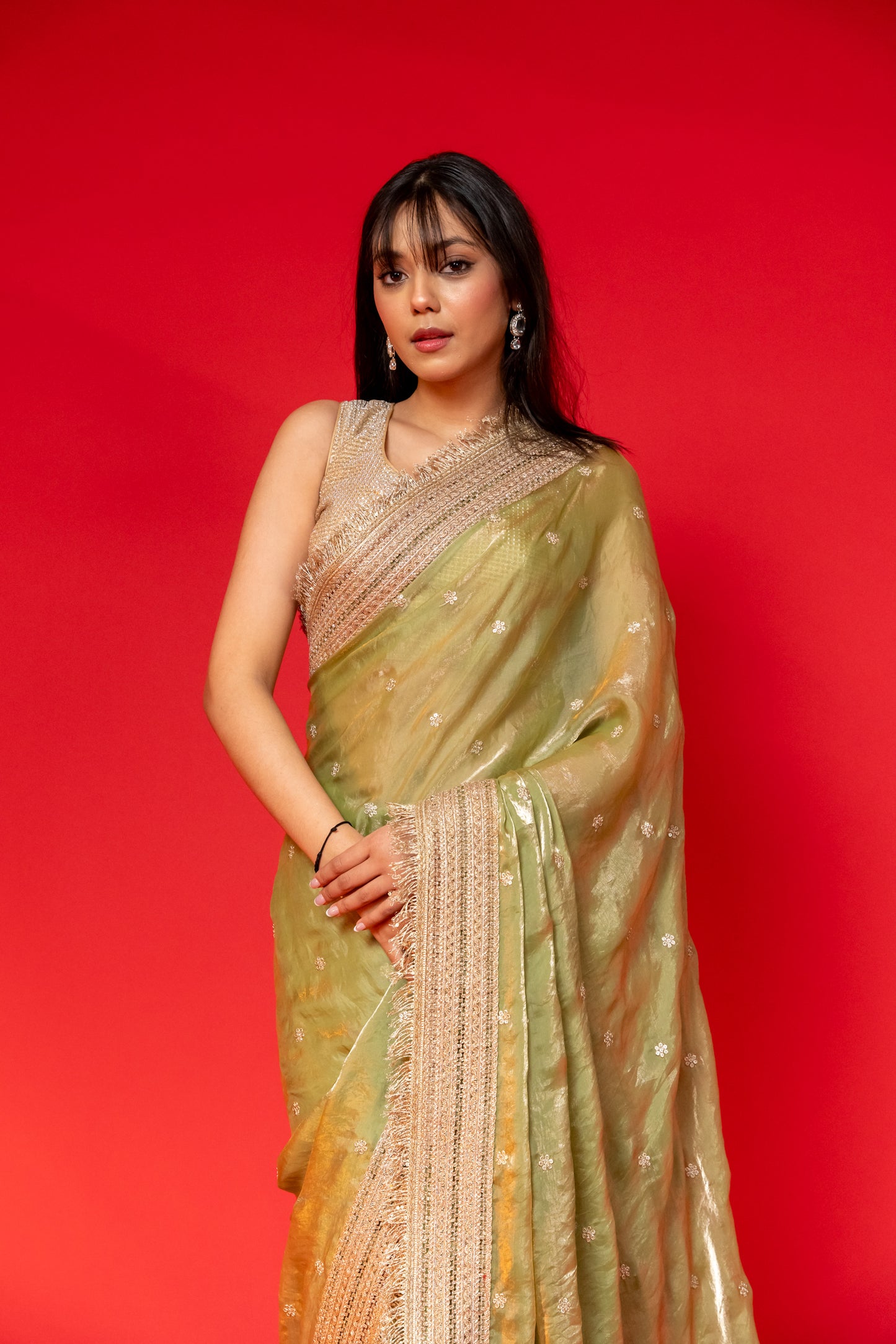 Olive Gleam Tissue Silk Saree with Embroidered Border